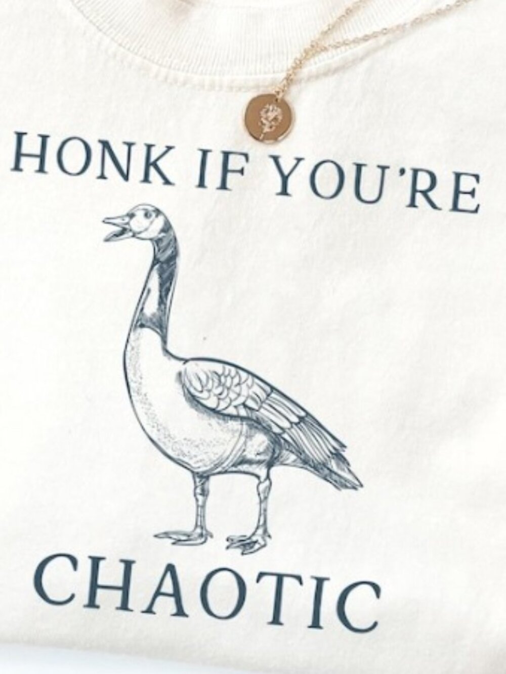 Funny Goose Meme Shirt, Honk If You're Chaotic, ADHD Humor Tee - Picture 2 of 3